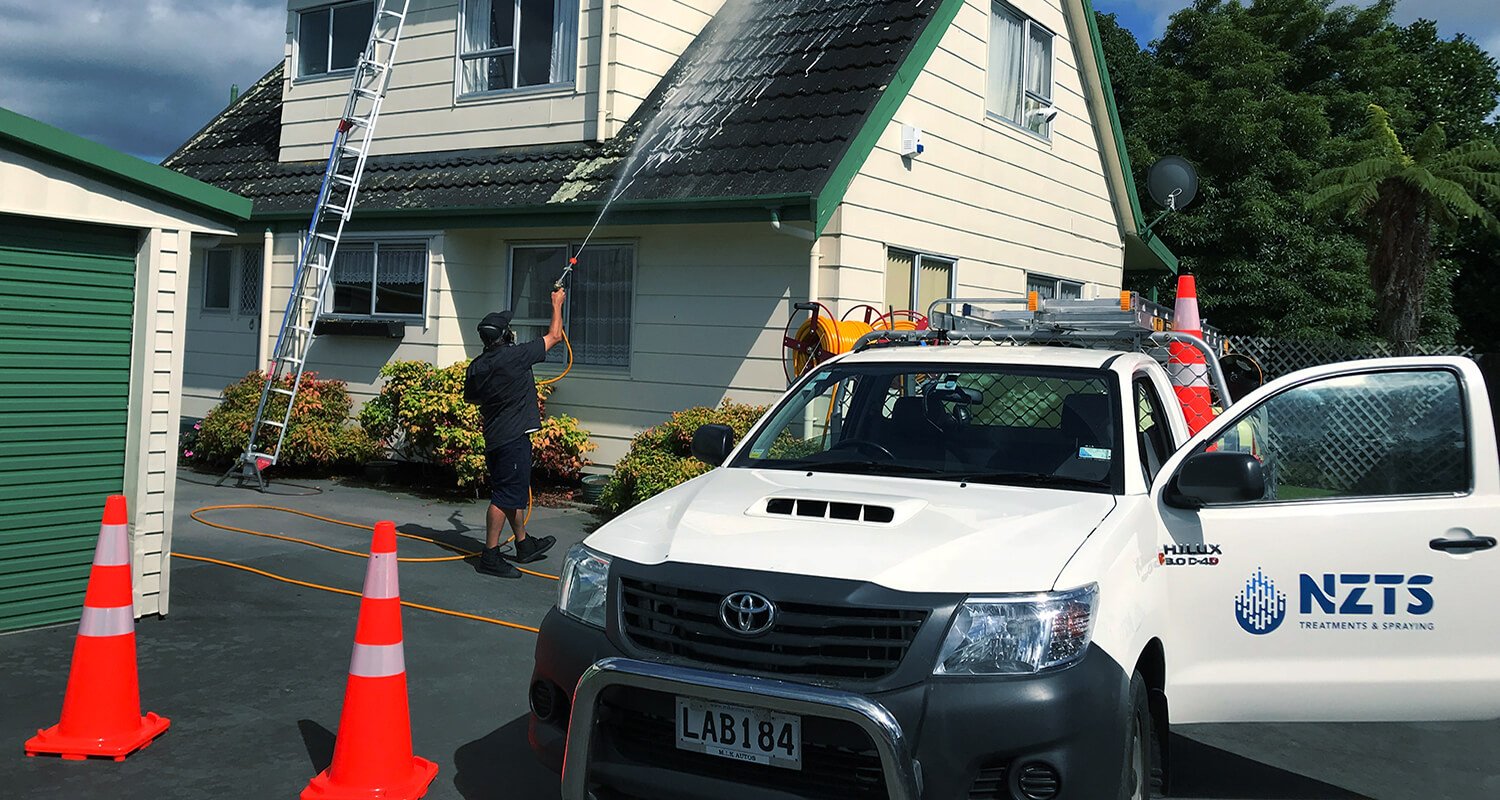 NZTS professional washes the roof - house washing guide